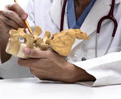 Dr. Jeremy L. Coleman explains the chiropractic adjustment using a model of the human vertebrae.